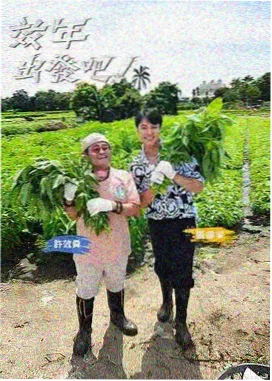 小微影视综艺 极限挑战