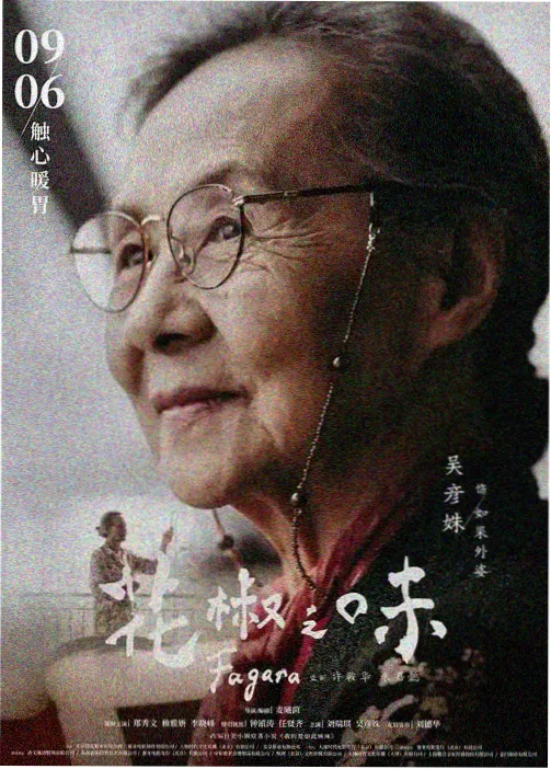 小微影视动漫 间谍过家家